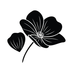 Elegant Floral Design Featuring Black Anemone Blossom Vector