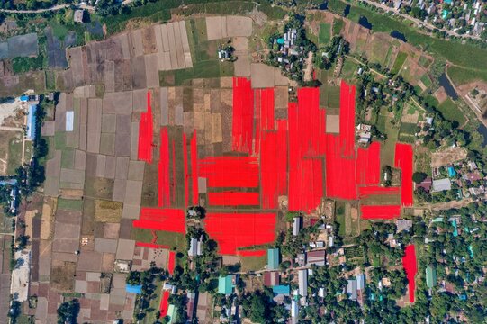 Aerial view of vibrant red patches of textile drying amidst the grid of agricultural fields and scattered buildings, Narsingdi, Dhaka Division, Bangladesh.