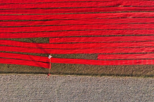 Aerial view of vibrant red fabrics stretched out to dry under the sun, creating a striking contrast with the earth tones of the land, Narsingdi, Dhaka Division, Bangladesh.