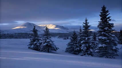 Serene winter landscape with snow-covered fir trees and distant mountains illuminated by a gentle sunlight at dusk, creating a peaceful and frosty natural scene