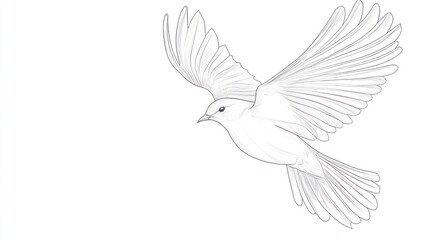 Flying white dove illustration on white background peace and freedom symbol