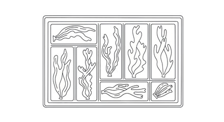 Collection of various seaweed types in a minimalist black line art illustration.