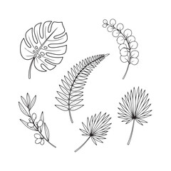 set of vector leaves