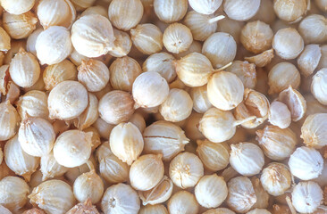Top View Macro of Coriander Seeds Collection