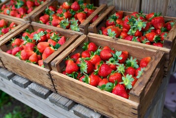 Two champagne flutes with sparkling wine on dark wood surface, festive lights and ornaments blurred behind.