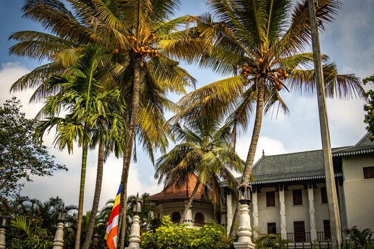 buddha temple, temple of the tooth, sri dalada maligawa, kandy, sri lanka, ceylon