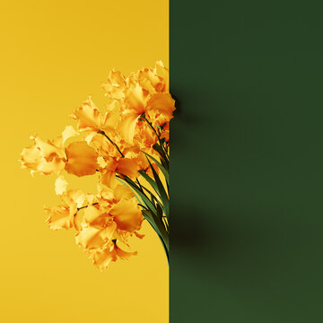 Yellow gladiolus flower on yellow green background with copy space. Spring concept design. 3D Rendering, 3D Illustration
