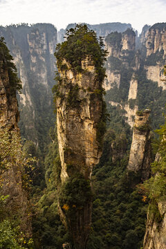 View of towering sandstone pillars pierce the mist-shrouded landscape, a testament to nature's grandeur, sculpted over millennia, Zhangjiajie, Hunan, China.