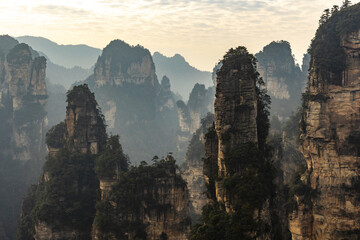 View of towering sandstone pillars pierce the misty sky, their rugged textures softened by verdant foliage in Zhangjiajie, Hunan, China.