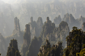 View of towering sandstone pillars piercing through the mist-shrouded landscape, a symphony of rock and foliage, creating an ethereal panorama, Zhangjiajie, Hunan, China.