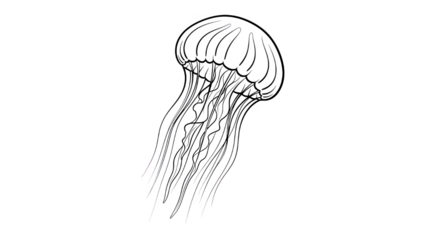 A dark and blurry image of an unidentifiable object or figure on a black background with unclear details