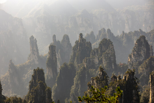 View of jagged peaks pierce the misty air, ancient stones draped in verdant cloaks, a timeless landscape of ethereal beauty, Zhangjiajie, Hunan, China.