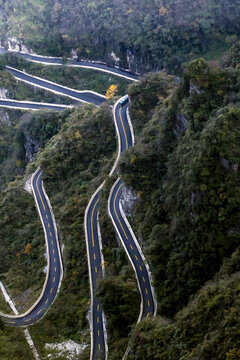 View of a winding road snaking up the lush, green mountainside, a testament to human engineering against nature's grandeur, Zhangjiajie, Hunan, China.