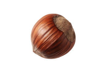 Close-up of a single hazelnut showcasing its rich brown color and smooth texture set against a transparent background