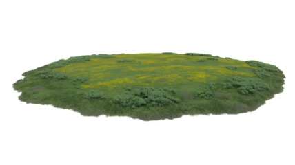 lush green meadow with vibrant wildflowers, a tranquil oasis of natural beauty. The terrain showcases the essence of a serene landscape . Isolated on transparent background, png