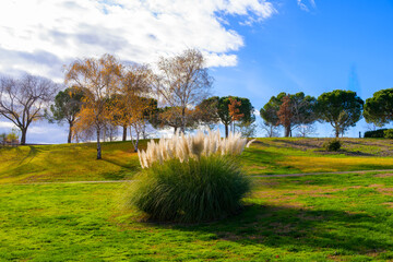 Parque Juan Carlos I de Madrid en Invierno