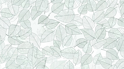 A delicate and intricate pattern of overlapping skeletonized leaves in a light green hue against a white background.