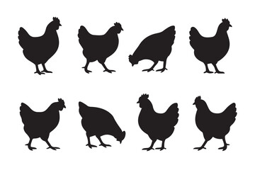 Fototapeta premium Collection of diverse chicken silhouettes in various poses on a white background