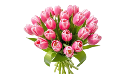 Vibrant pink tulip bouquet isolated on transparent background