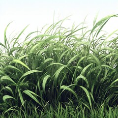 Obraz premium Lush green grass swaying gently, nature's soft carpet under a gentle sky.