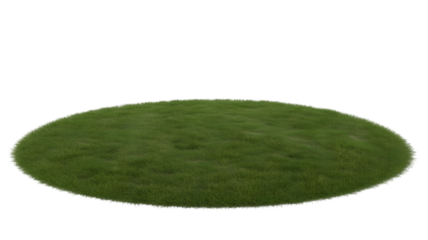 isolated patch of green grass . Isolated on transparent background, png
