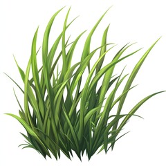 Fototapeta premium Lush green grass blades create a vibrant and refreshing natural texture.