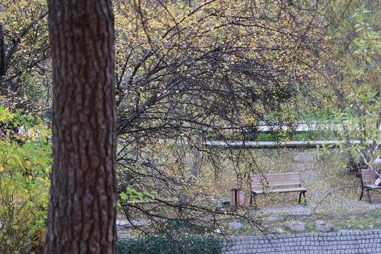 Peaceful autumn landscape in Botanik Park, Ankara, featuring the iconic Atakule tower, colorful fall foliage, empty wooden benches, a scenic pond with fountains, and calm nature city views.