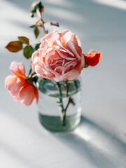 Beautiful delicate pink roses in a glass vase, soft focus on neutral background, Beauty roses romantic bouquet still life