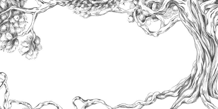 A rectangular frame with a mighty tree with roots and branches. Isolated pencil illustration for event invitation design, eco-hotel print design, poster printing, and menu design.