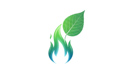 Green leaf isolated on transparent background with flame