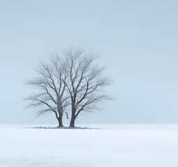 Fototapeta premium Minimal winter background with soft snowfall, pale blue gradient sky, quiet and serene mood