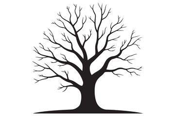Obraz premium Leafless tree silhouette on white background 