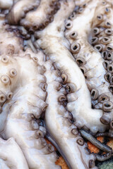 Close-up of fresh octopus tentacles with suckers. © Olga Ben