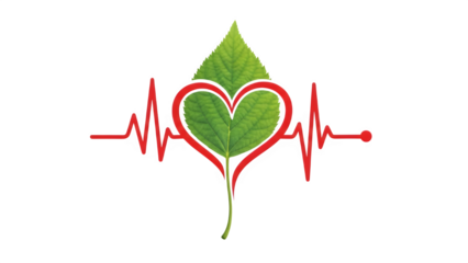 Green leaf shaped like a heart isolated on transparent background with red ecg line