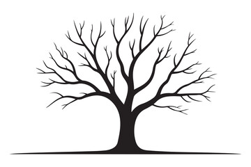 Fototapeta premium Leafless tree silhouette on white background 