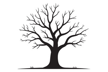 Obraz premium Leafless tree silhouette on white background 