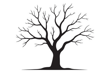 Fototapeta premium Leafless tree silhouette on white background 