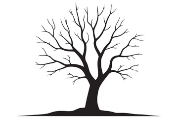 Fototapeta premium Leafless tree silhouette on white background 