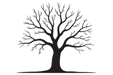 Fototapeta premium Leafless tree silhouette on white background 