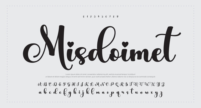 signature Font Calligraphy Logotype Script Brush Font Type Font lettering handwritten