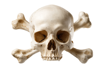 Human Skull with Crossed Bones