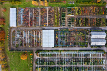 Une vue a&eacute;rienne d'un jardinerie p&eacute;pini&eacute;riste