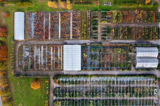 Une vue a&eacute;rienne d'un jardinerie p&eacute;pini&eacute;riste