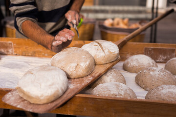 bread preparation. loaves of dough before baking