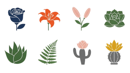 Eight plants isolated on transparent background