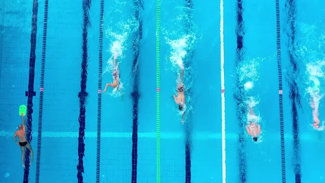 Unidentifiable swimmers train in the pool. Overhead view
