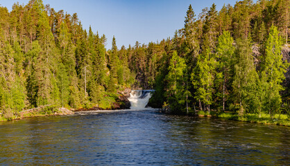 waterfall in the forest