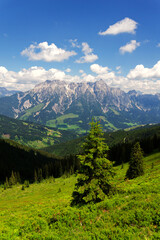 Leogang Mountains Leoganger Steinberge with highest peak Birnhorn, idyllic summer landscape Alps, Zell am See district, Salzburg federal state, Austria