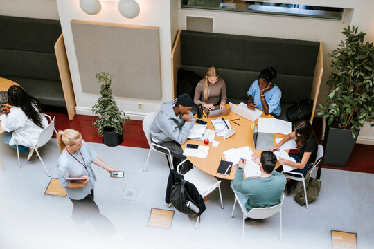 High angle view of male and female adult students studying with each other while sitting in college campus
