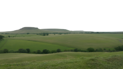 vast landscape of green fields and rolling hills under a bright sky . Isolated on transparent background, png